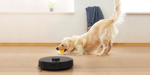 Bảo trì robot hút bụi
