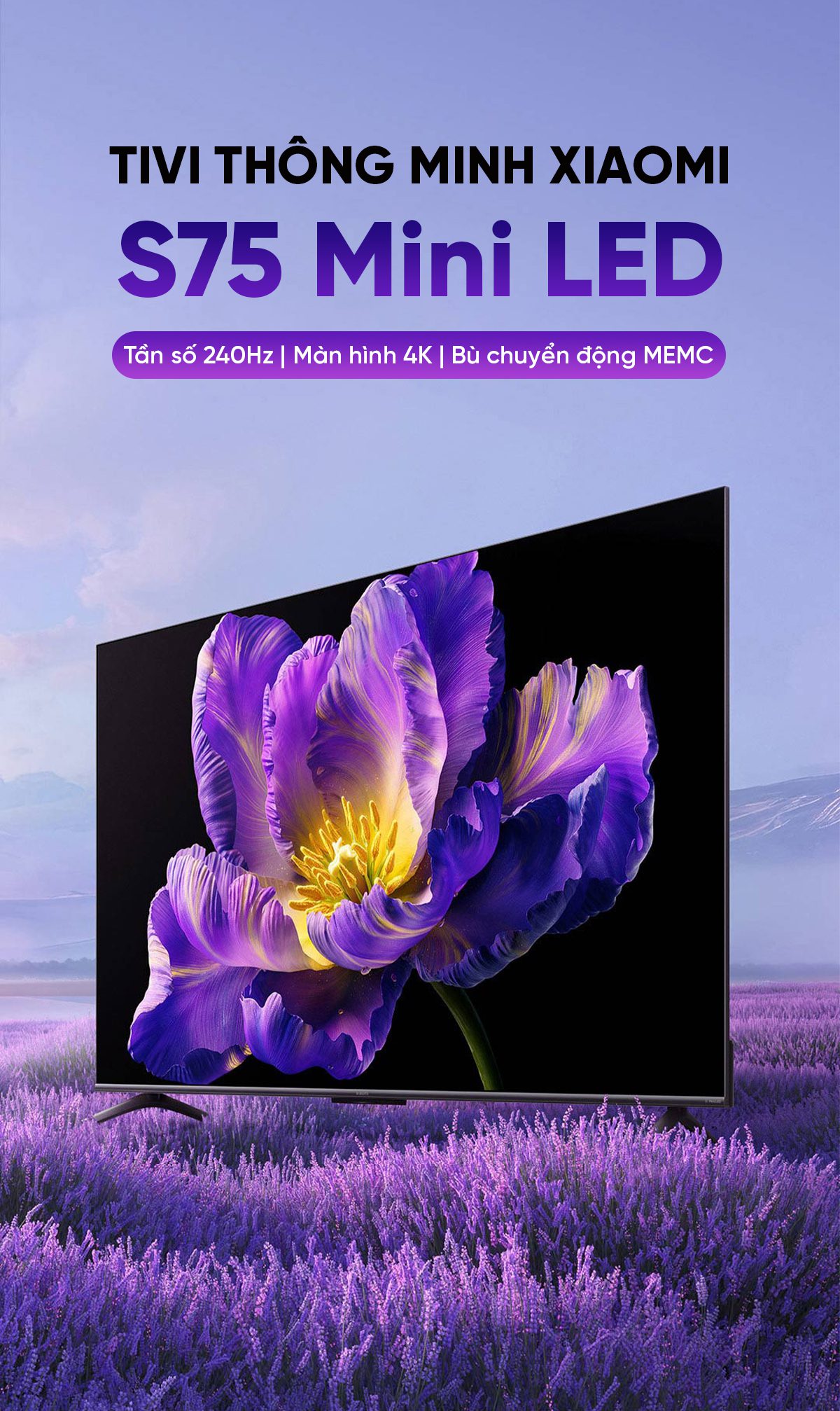 Tivi Xiaomi S 75 Mini LED 75 Inch 240Hz Ram 4/64GB
