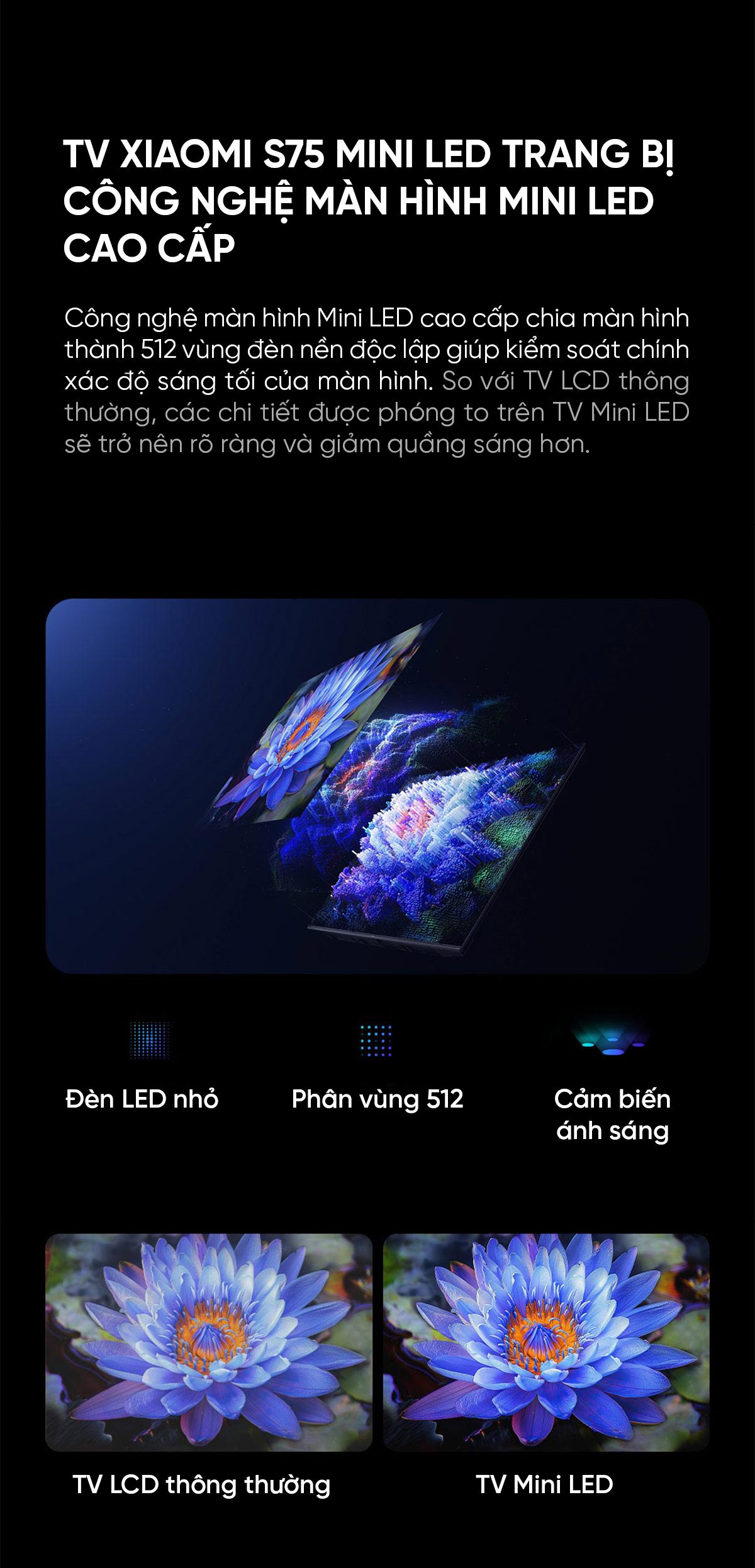 Tivi Xiaomi S 75 Mini LED 75 Inch 240Hz Ram 4/64GB