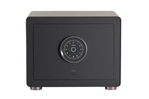 Két sắt Xiaomi thông minh BGX-X1-30MK