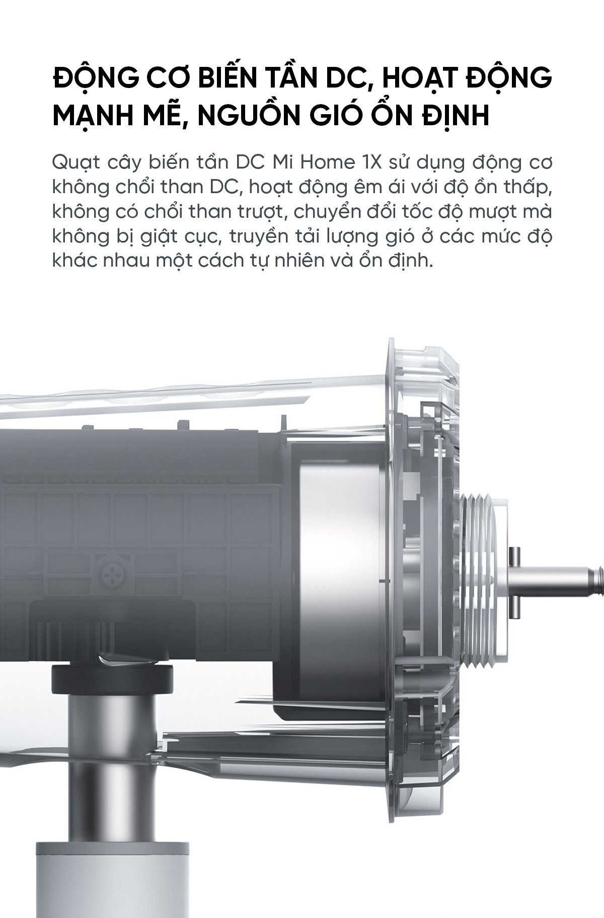 Quạt cây Xiaomi BPLDS01DM