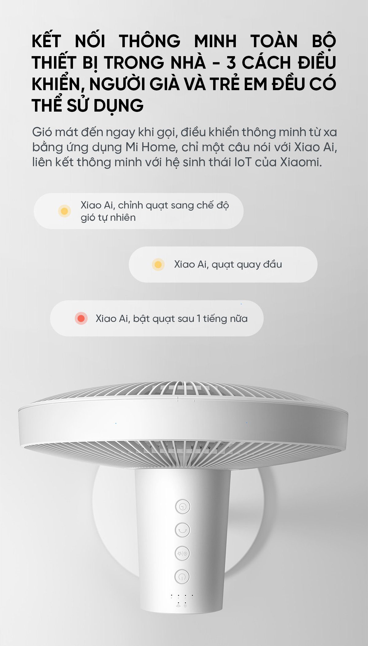 Quạt cây Xiaomi BPLDS01DM