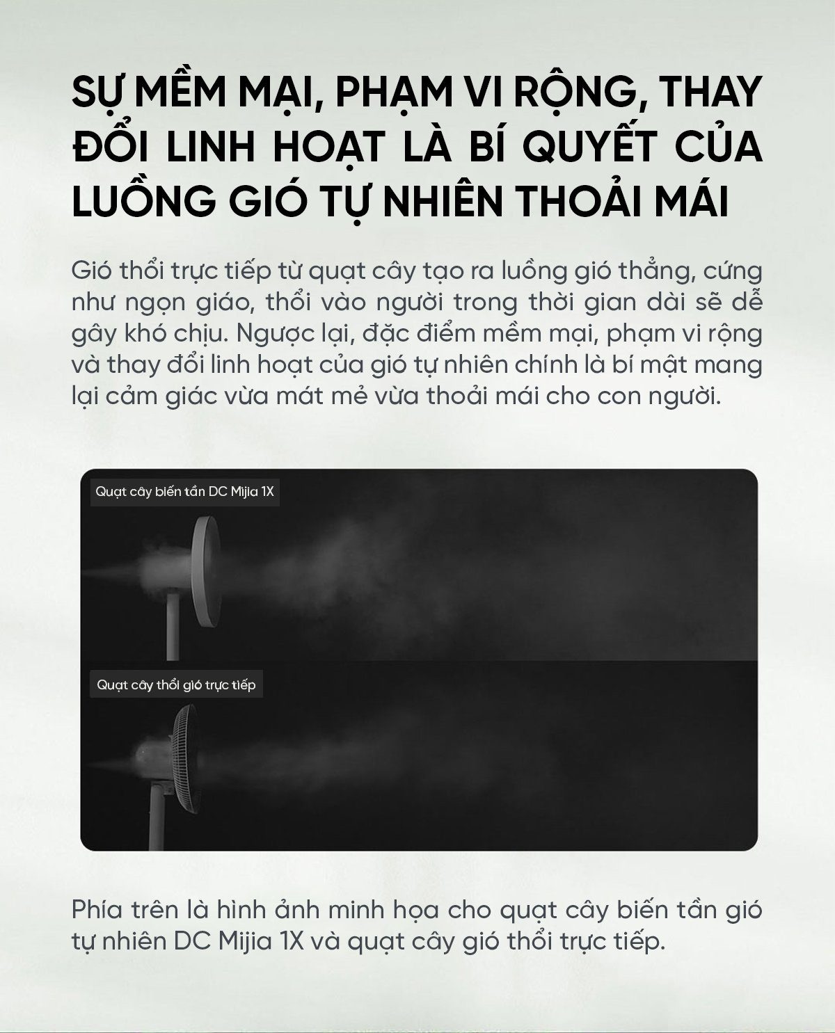 Quạt cây Xiaomi BPLDS01DM