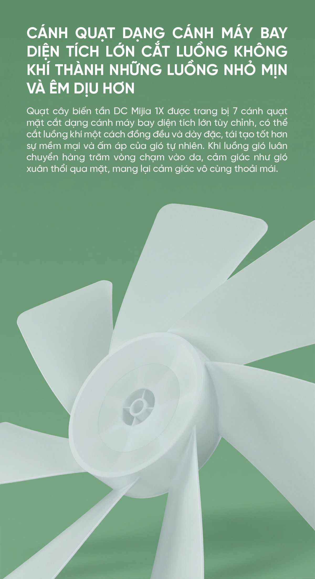 Quạt cây Xiaomi BPLDS01DM