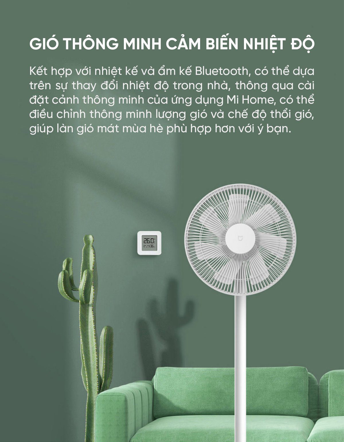 Quạt cây Xiaomi BPLDS01DM