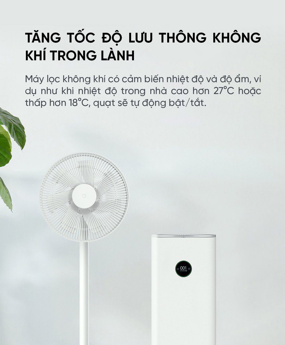 Quạt cây Xiaomi BPLDS01DM