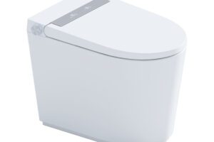 Bồn Cầu Thông Minh Little Whale Wash Đa Năng Mẫu Ngắn D5