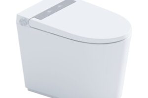 Bồn Cầu Thông Minh Whale Wash Đa Năng Mẫu Ngắn D6