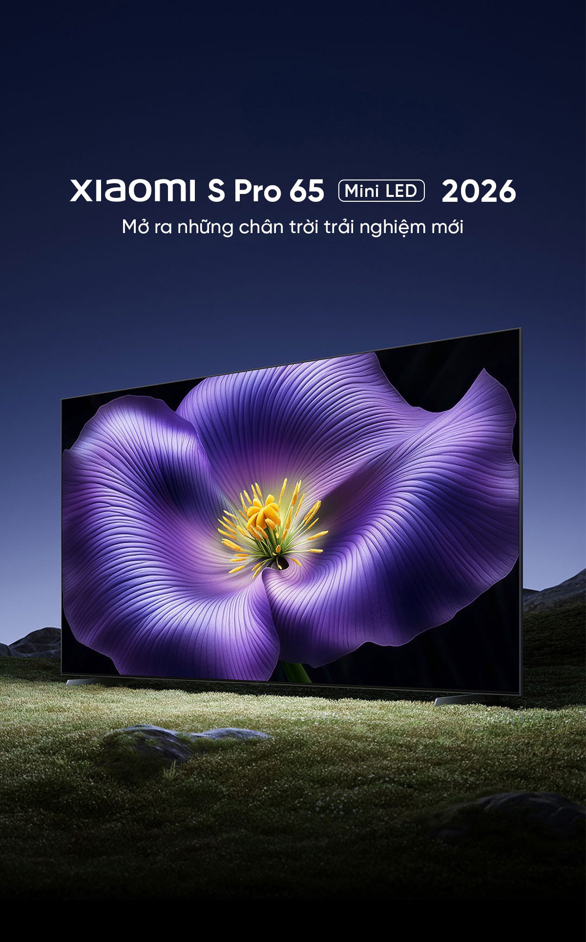 Tivi Xiaomi S Pro 2026 Mini LED 65Inch 4/64 330Hz 5200nits