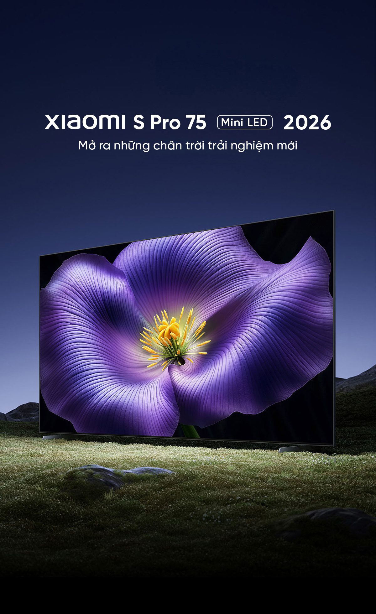 Tivi Xiaomi S Pro 2026 Mini LED 75Inch 4/64 330Hz 5200nits