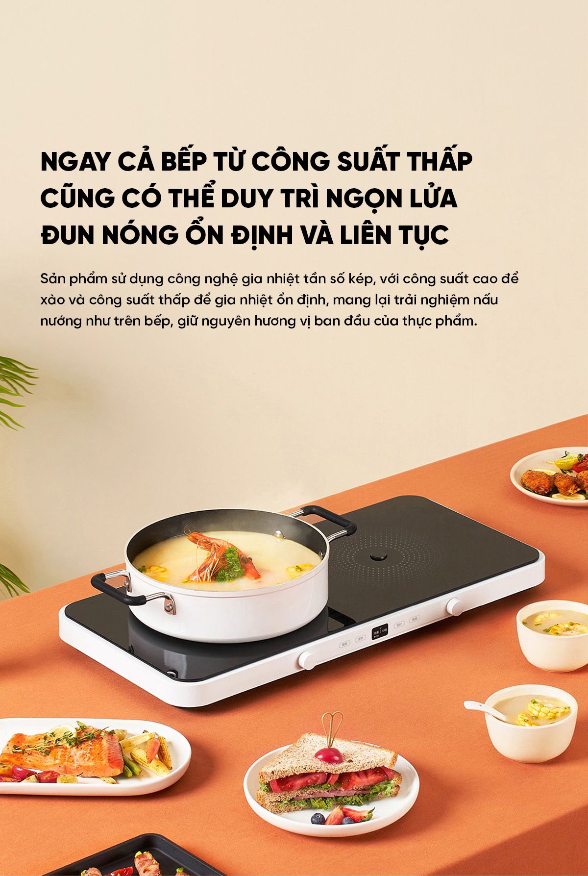 Bếp từ đôi kèm khay nướng Xiaomi Mijia | Giá tốt