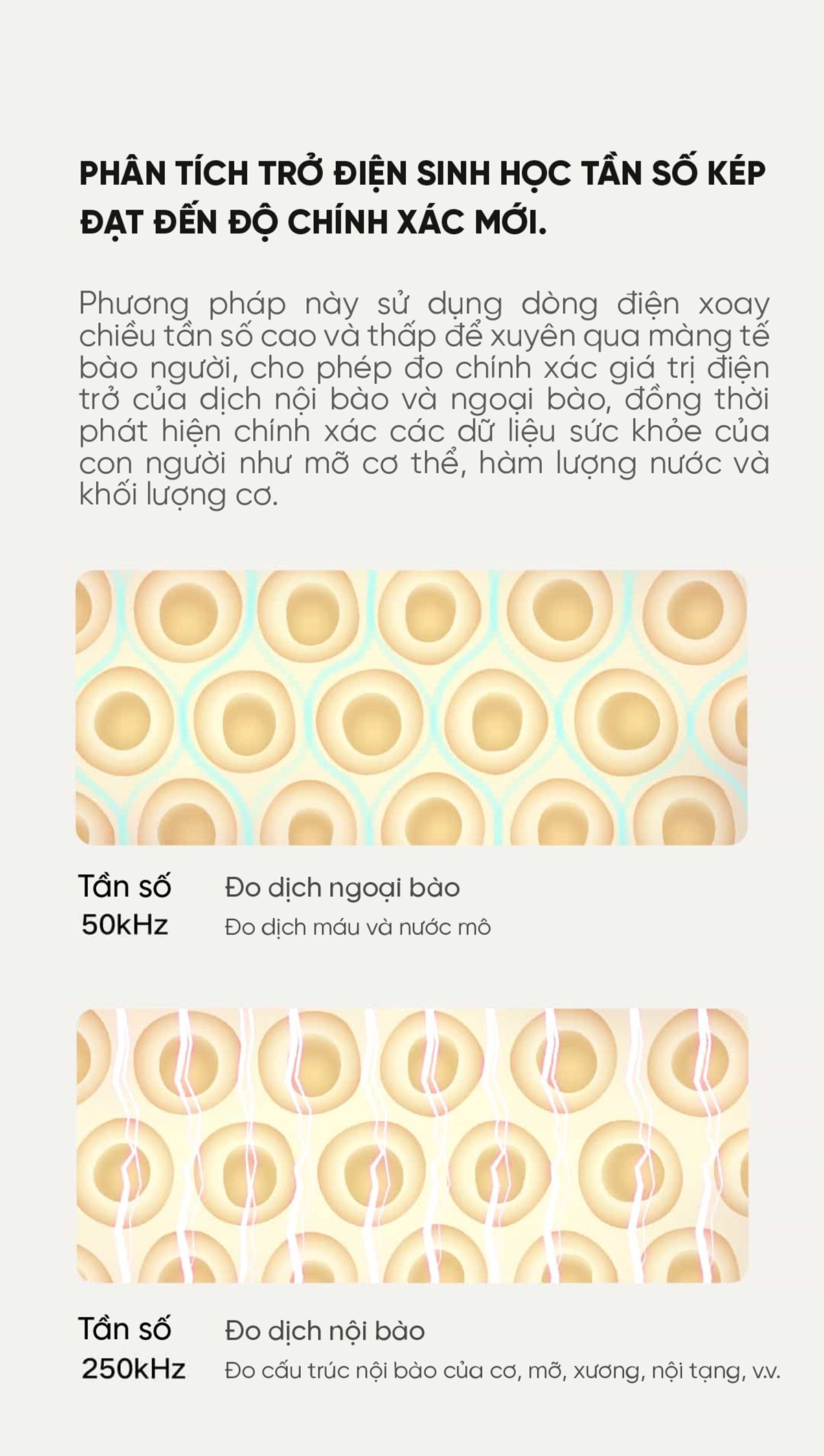 Cân Thông Minh Xiaomi Body Scale S400 | Giá tốt