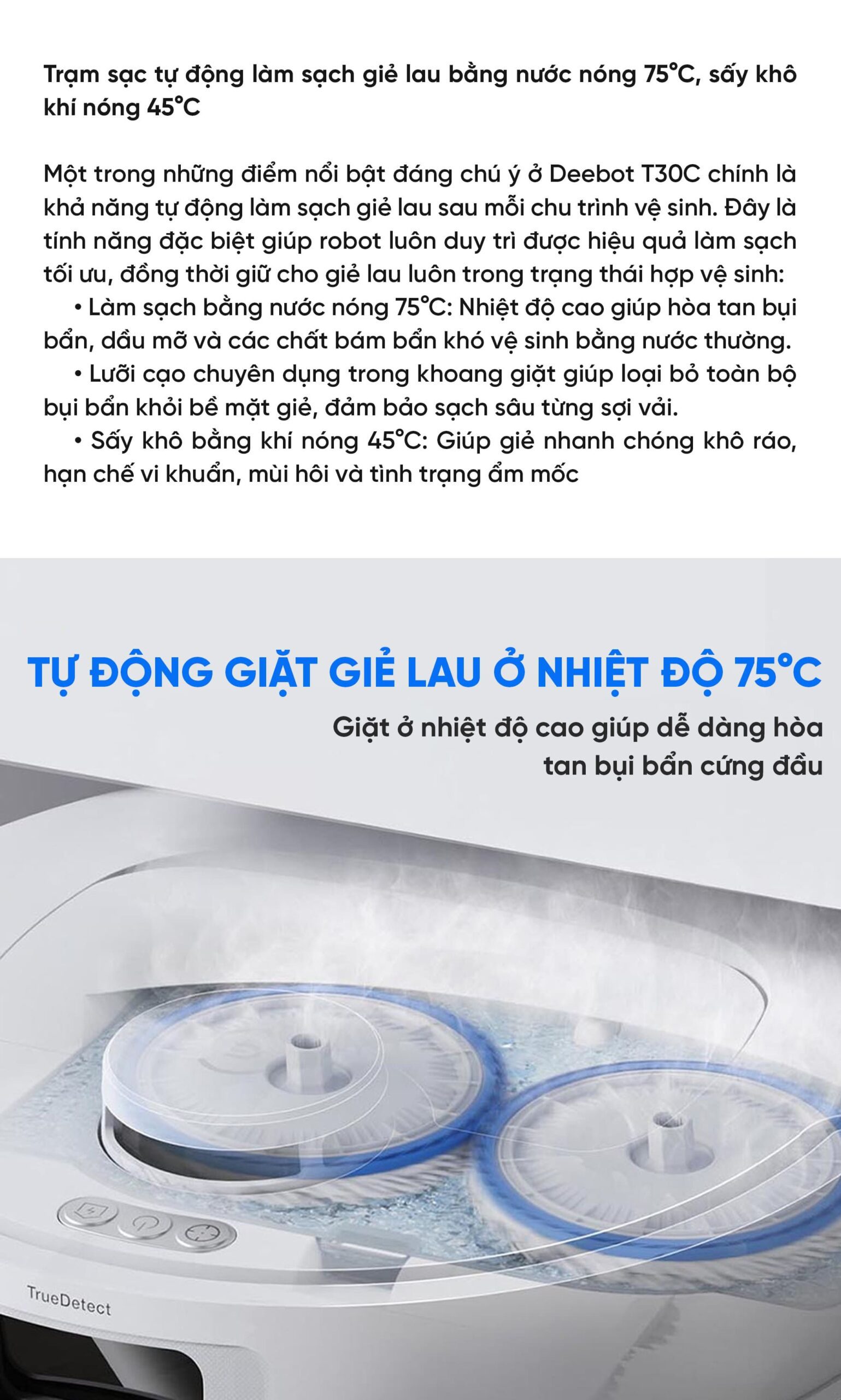 Robot hút bụi lau nhà Ecovacs Deebot T30C 2026
