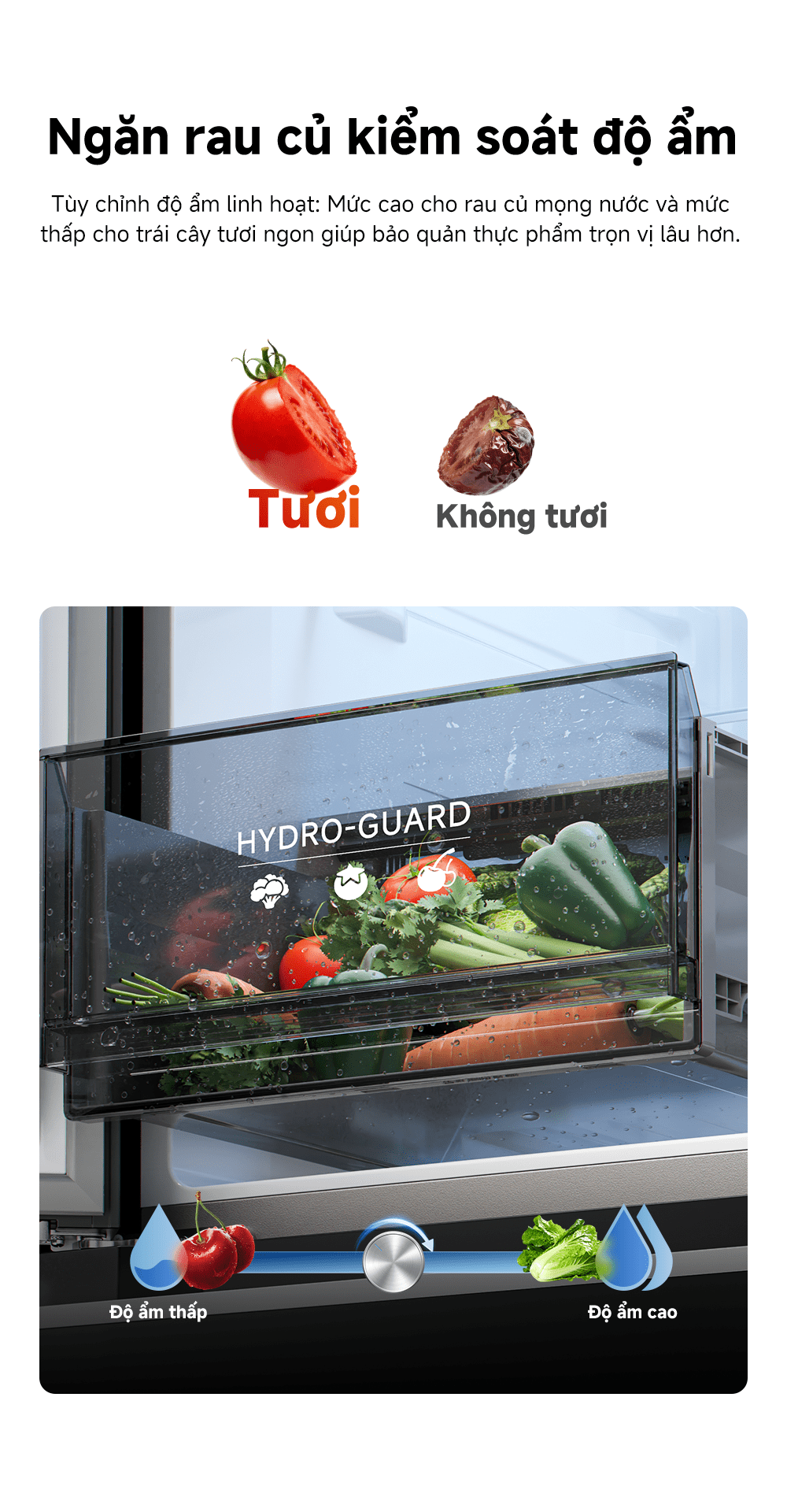 Tủ lạnh Dreame 600L Dual inverter DRC600WGB4VN – 4 cánh mặt kính, đông mềm, kháng khuẩn thông minh