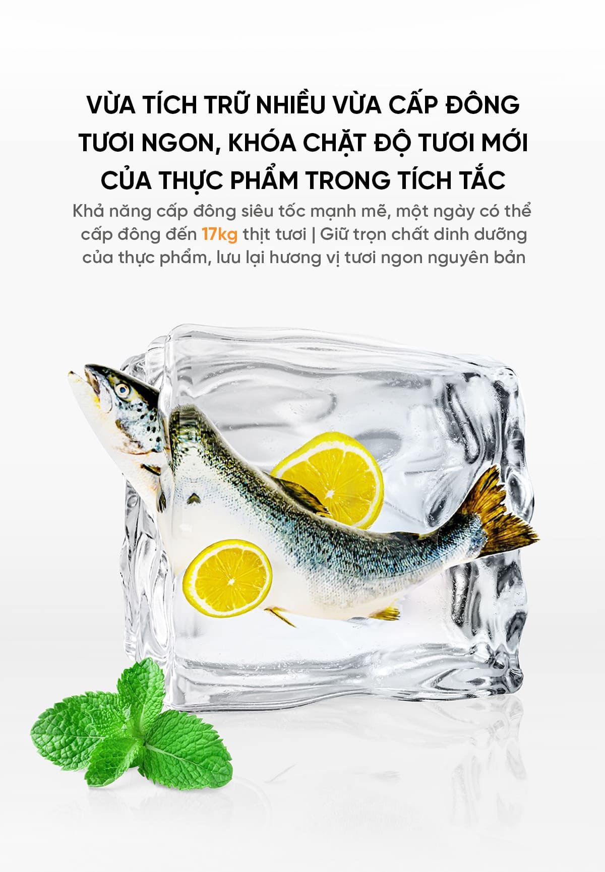 Tủ Lạnh 4 Cánh Xiaomi Mijia 600L Pro