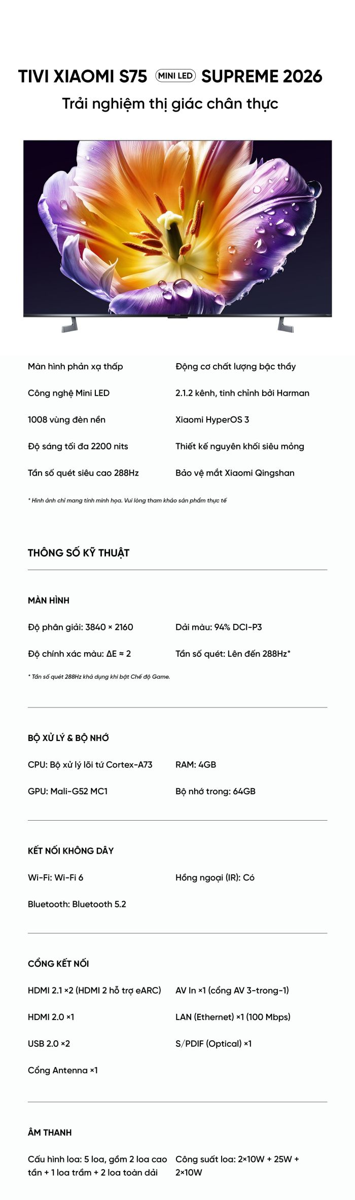 Tivi Xiaomi S 75 miniled 2026 4K độ sáng 2200nits